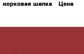 норковая шапка › Цена ­ 4 000 - Татарстан респ., Набережные Челны г. Одежда, обувь и аксессуары » Женская одежда и обувь   